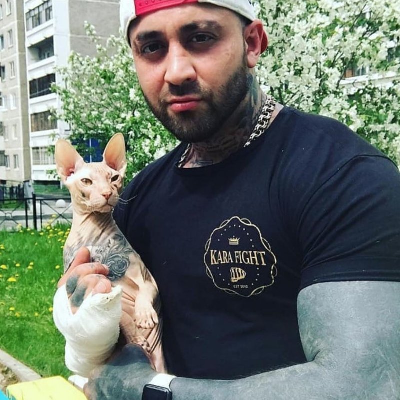 Katten Demon Katten Demon